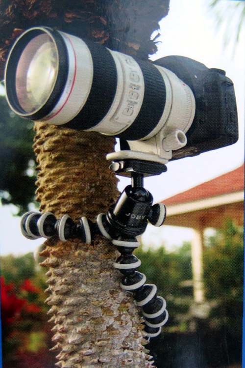 GORILLAPOD FLEXIBLE TRIPOD - HOLDS 6.6 LBS